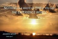 Nothing is a waste of time if you use the experience wisely.