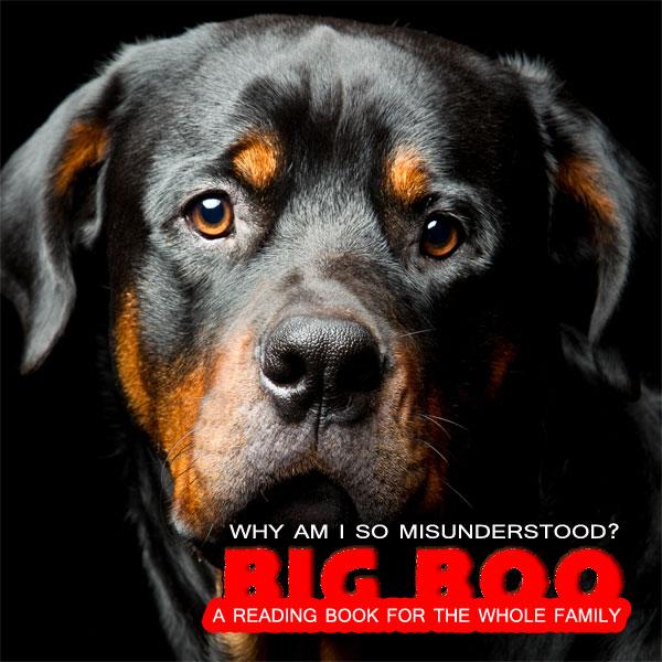 Big Boo The Rottweiler